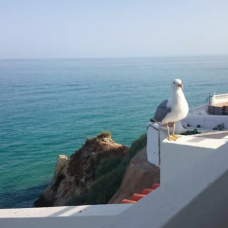 Appartement Aurora Costa Azul Albufeira